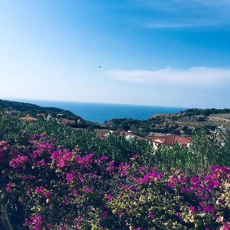 Pissouri Villa Miramar エクステリア 写真