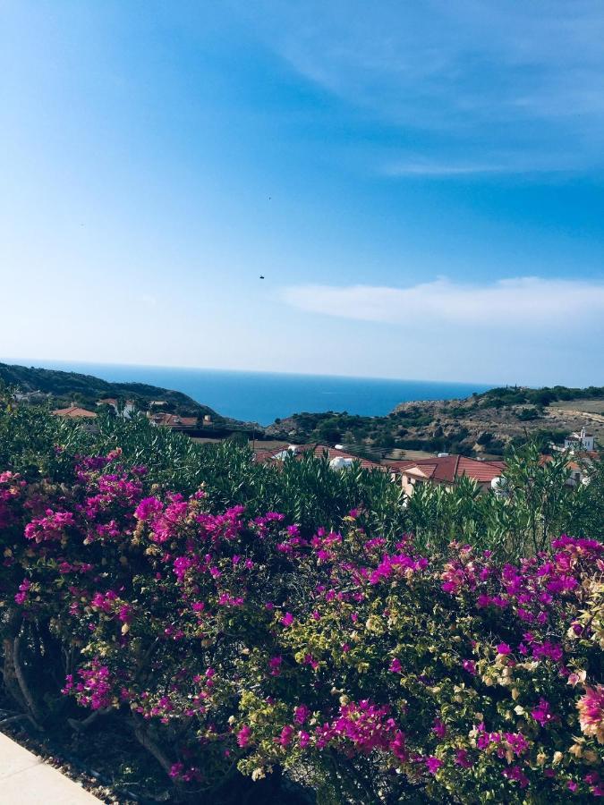Pissouri Villa Miramar エクステリア 写真
